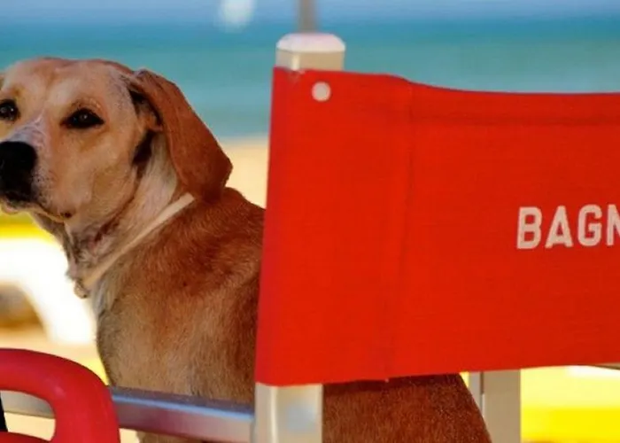 Elegante Con Terrazzo E Giardino Dom wakacyjny