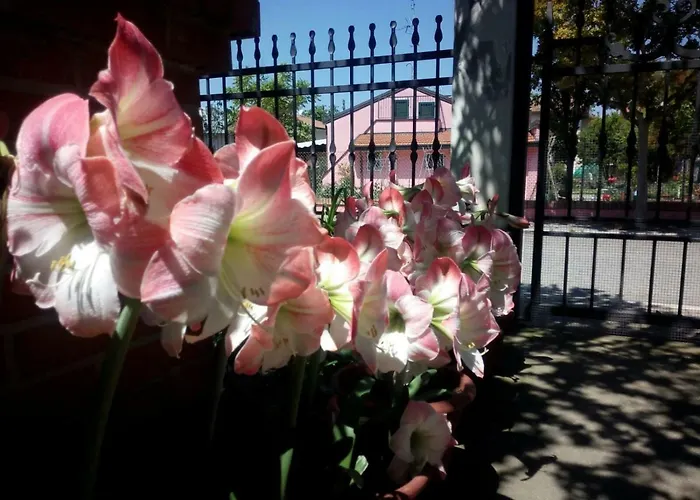 Elegante Con Terrazzo E Giardino San Mauro Mare