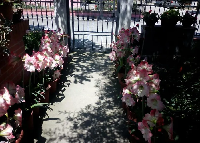 بيت للعطل Elegante Con Terrazzo E Giardino San Mauro Mare