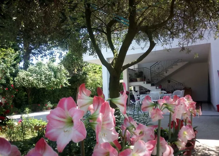 Elegante Con Terrazzo E Giardino * San Mauro Mare